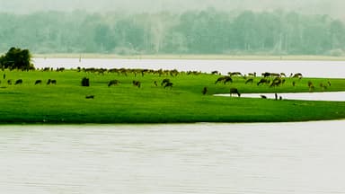 Bangalore To Kabini - 1 Day